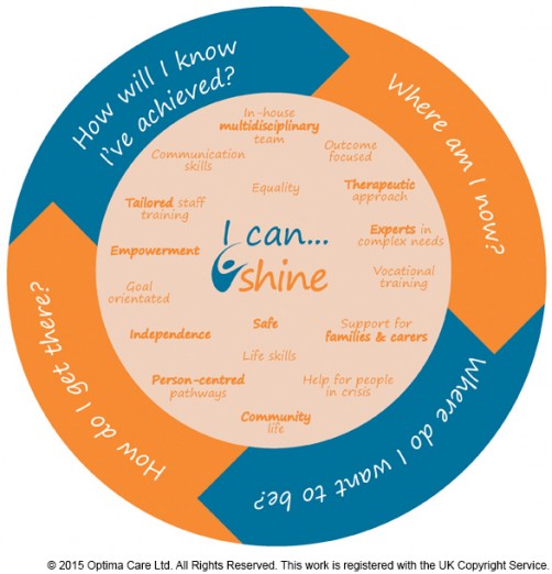 Shine Flow Chart